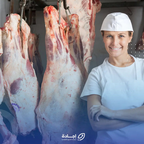 دراسة جدوى كاملة جاهزة لمشروع ملحمة في السعودية